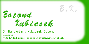 botond kubicsek business card